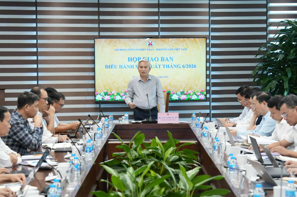 cung ứng than cho sản xuất điện