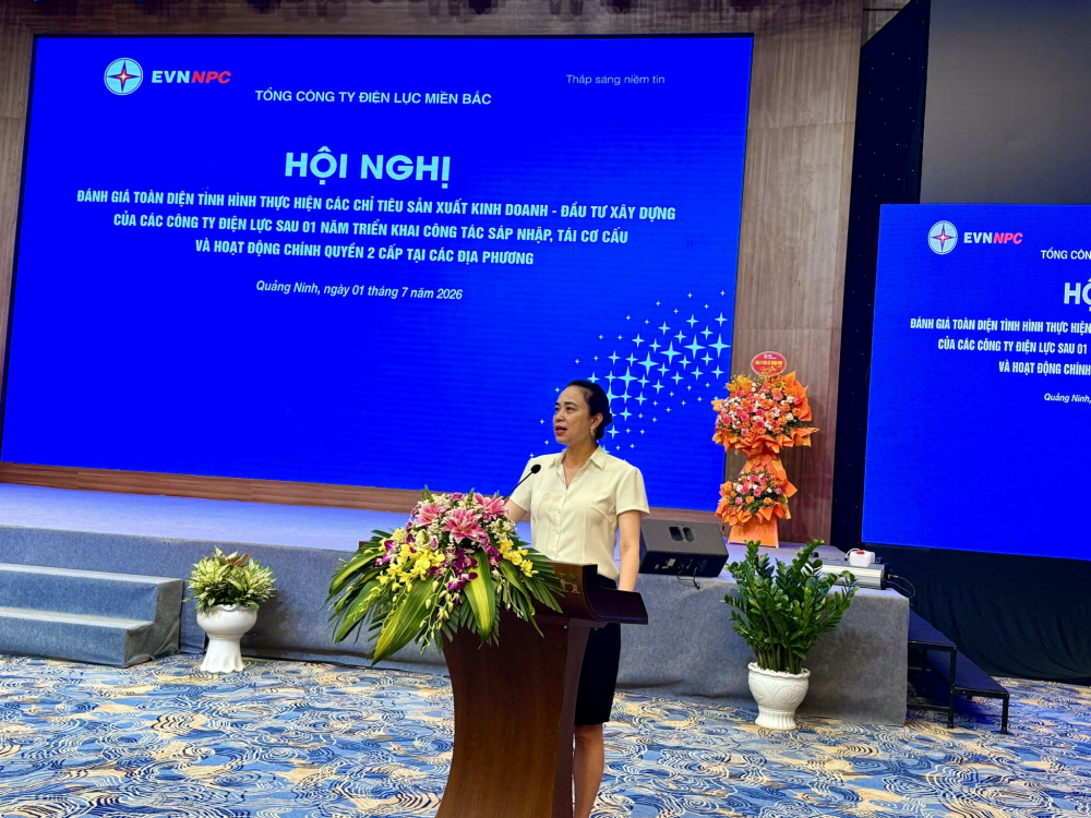 Bà Đỗ Nguyệt Ánh - Chủ tịch Hội đồng thành viên Tổng công ty Điện lực miền Bắc phát biểu chỉ đạo hội nghị