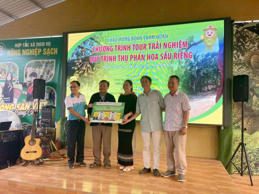 PVFCCo – Phú Mỹ đã tham gia chương trình trải nghiệm quy trình thụ phấn hoa sầu riêng tại Hợp tác xã Nông nghiệp sạch Krông Pắc
