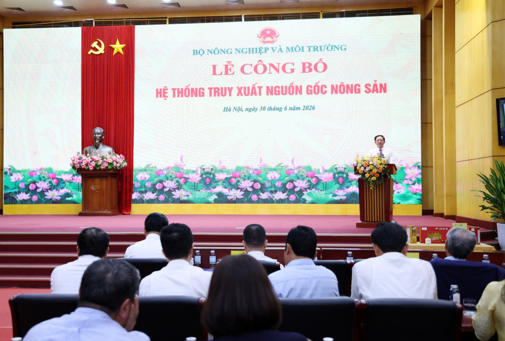 phó thủ tướng