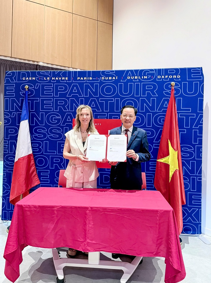 hợp tác 9