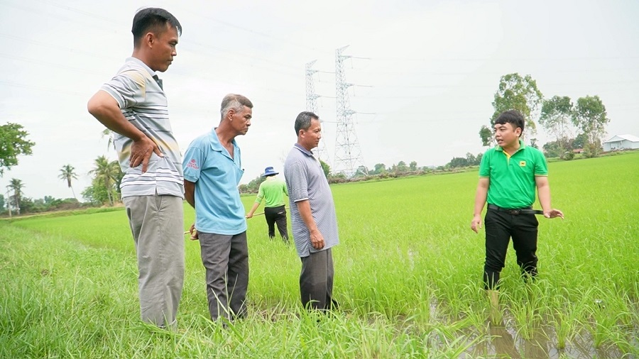Khi đất được ‘hồi sinh’ thì cây lúa tự khắc khỏe mạnh