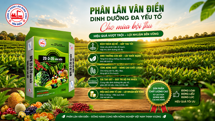 phân bón văn điển