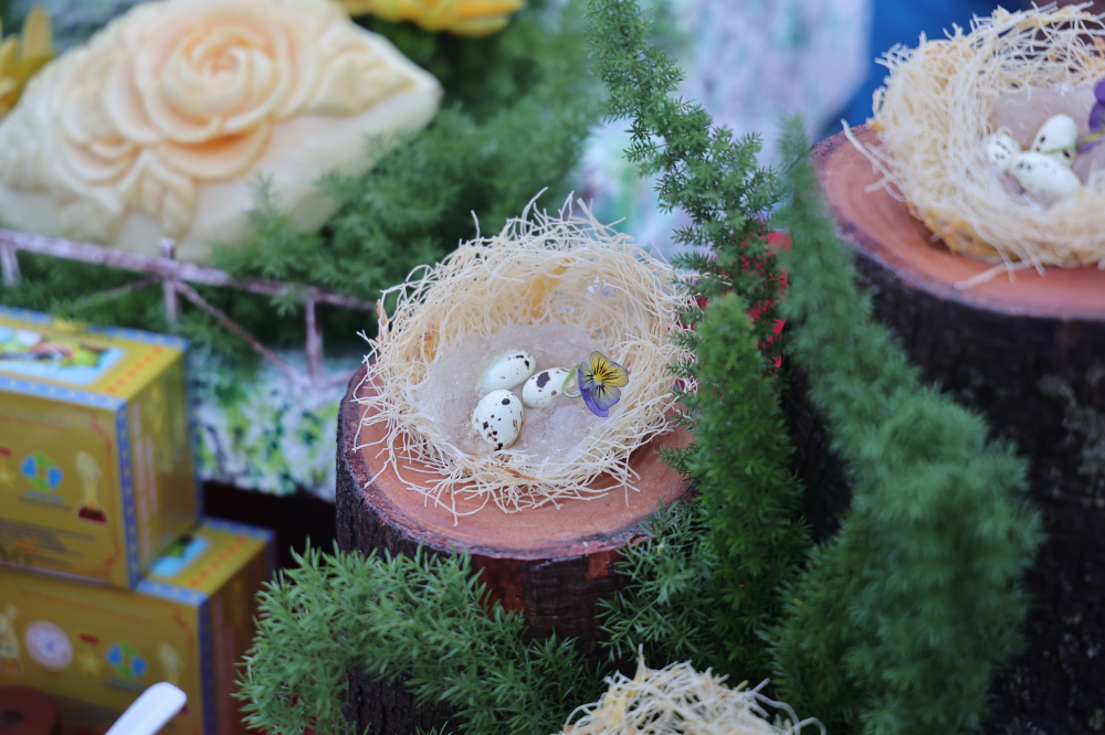 Yến sào Khánh Hòa