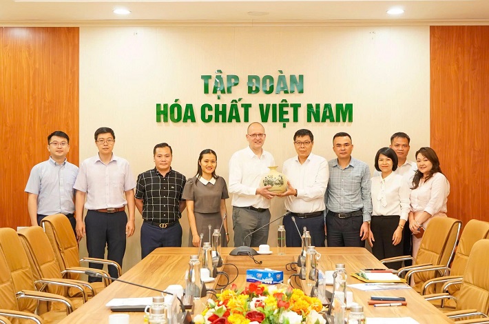 hợp tác 4