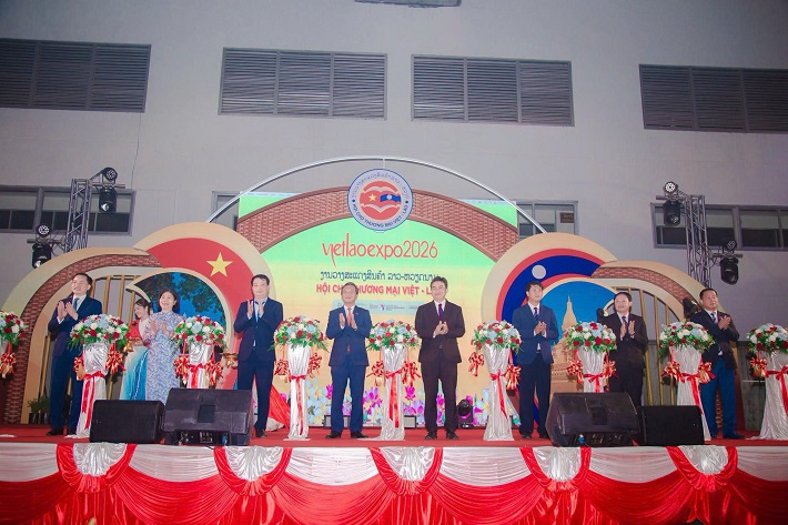 tham gia triển lãm
