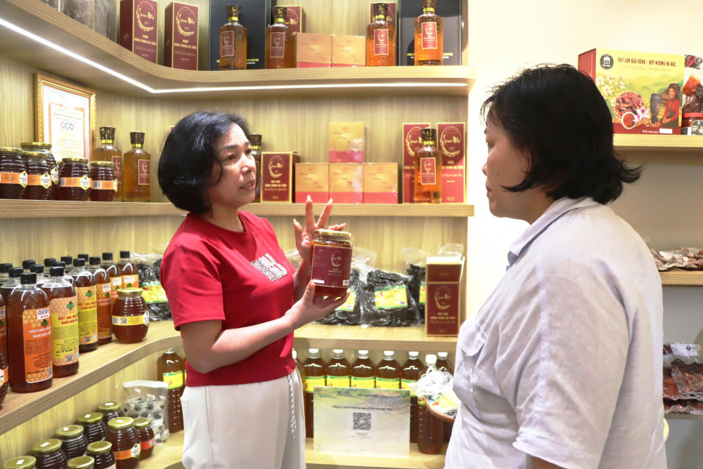 Điện Biên