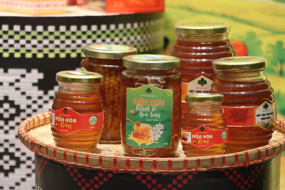 Điện Biên