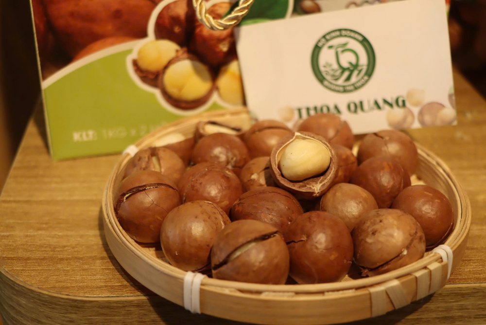 Điện Biên
