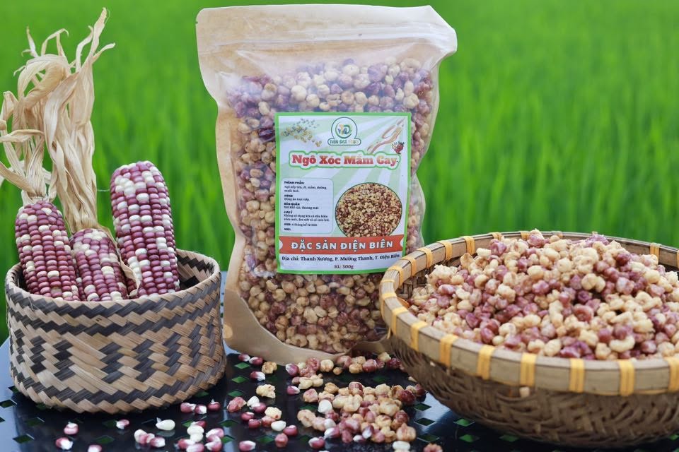 Điện Biên