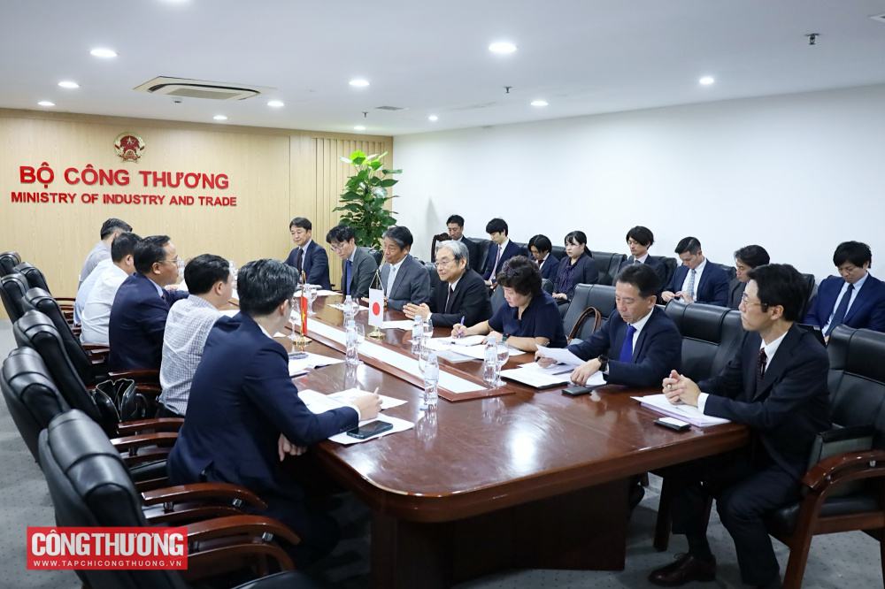 (Đơn vị đã duyệt ND) Thứ trưởng Nguyễn Hoàng Long làm việc các doanh nghiệp Nhật Bản về LNG