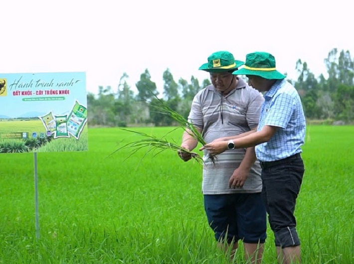 đất phèn