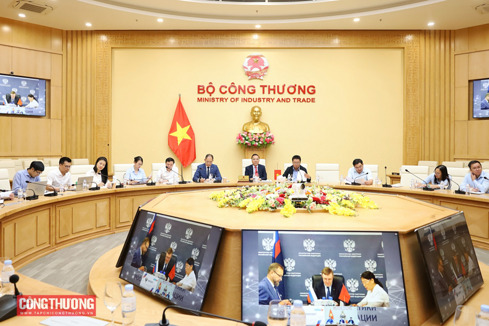 Thứ trưởng Nguyễn Hoàng Long làm việc trực tuyến với Bộ Năng lượng Liên bang Nga