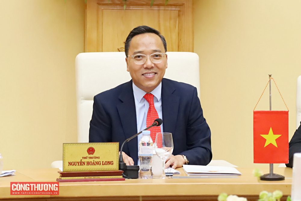 Thứ trưởng Nguyễn Hoàng Long làm việc trực tuyến với Bộ Năng lượng Liên bang Nga