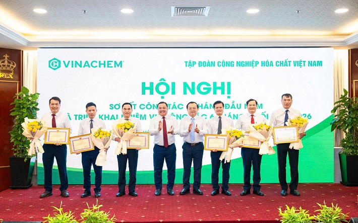 doanh thu 8