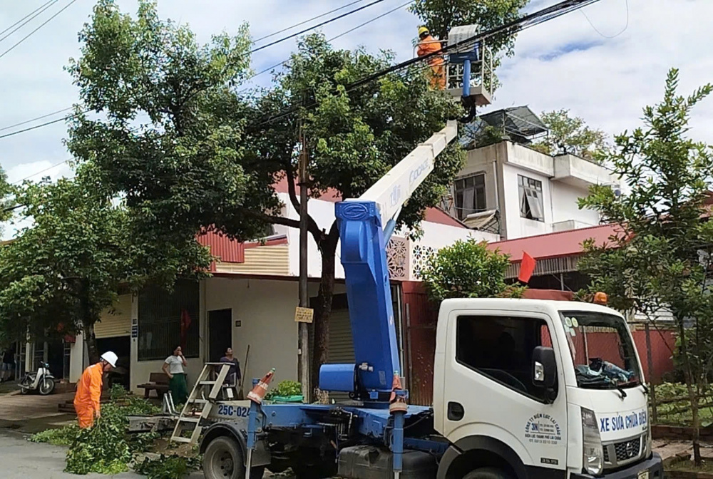 Công ty Điện lực Lai Châu