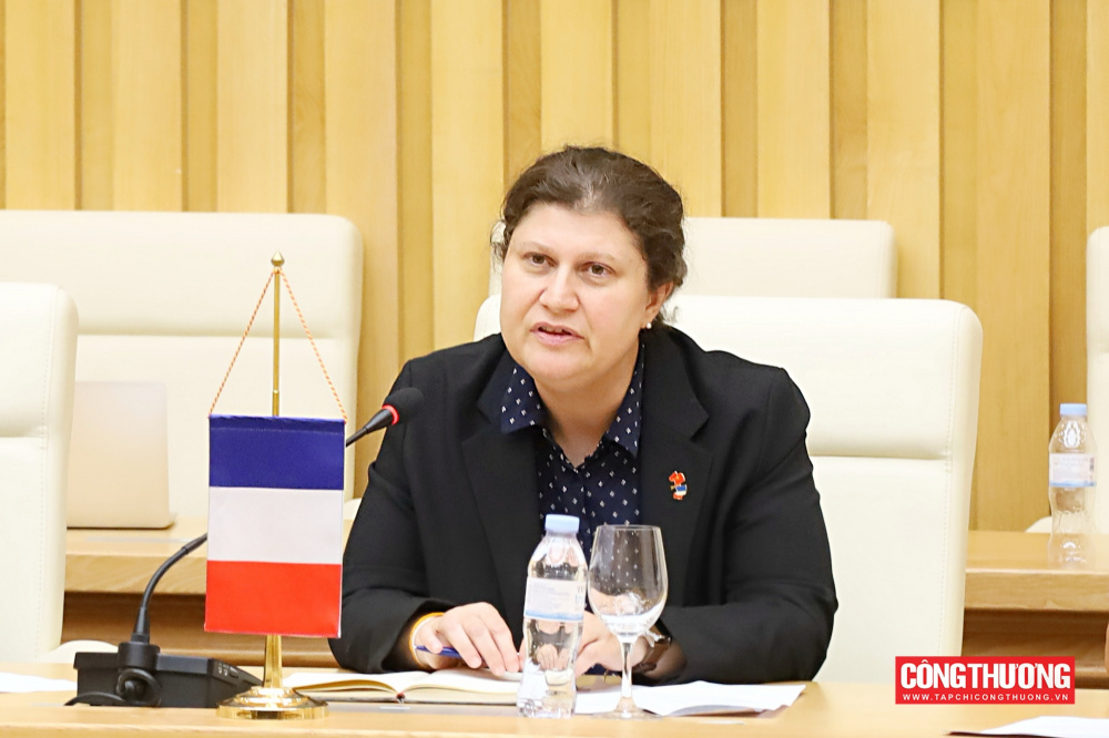 Bà Marie Keller, Đại biện lâm thời Đại sứ quán Pháp tại Việt Nam
