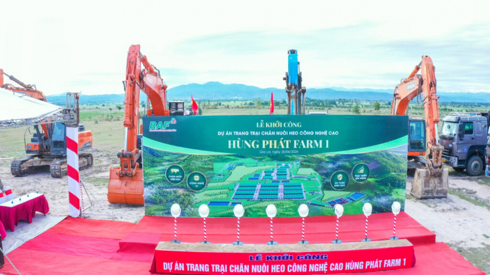 sản lượng heo