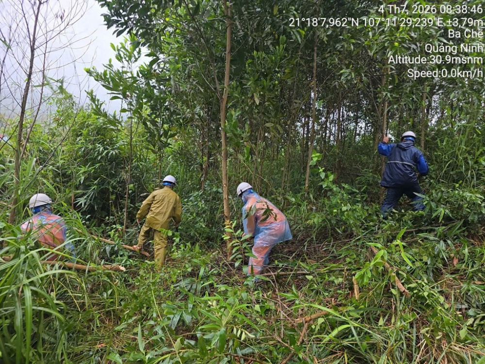 Điện lực Quảng Ninh triển khai phát quang hành lang, kiểm tra và gia cố các vị trí xung yếu chống sạt lở trong sáng 4/7 - Ảnh: Báo Quảng Ninh điện tử