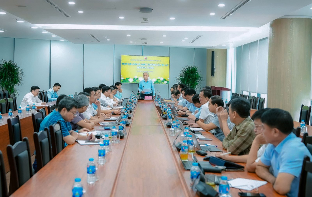 cung cấp than