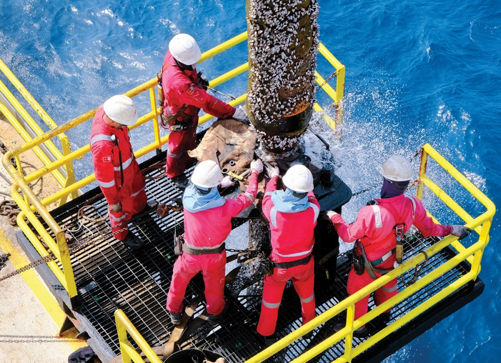 Petrovietnam