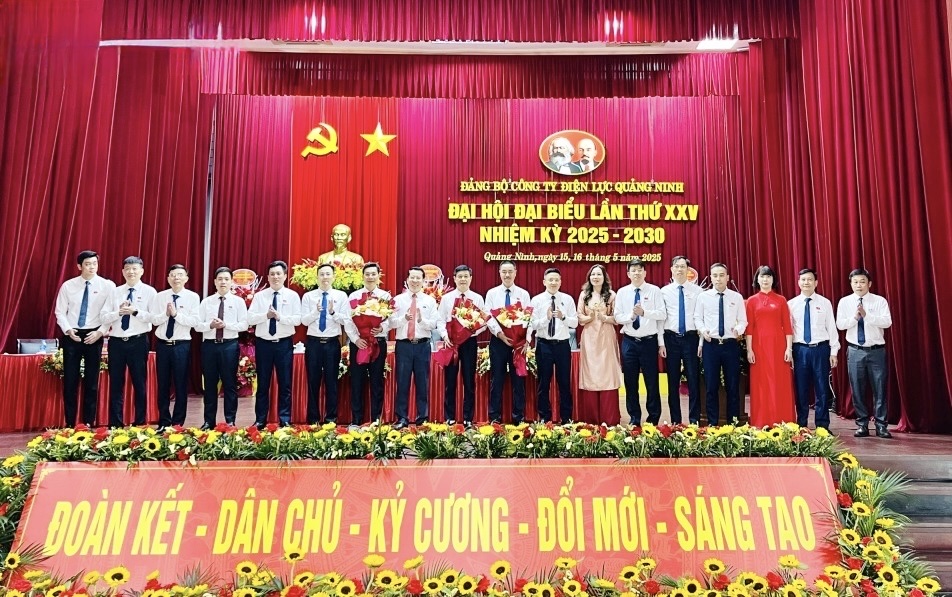 Công ty Điện lực Quảng Ninh