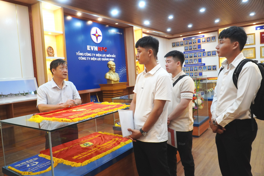 Công ty Điện lực Quảng Ninh
