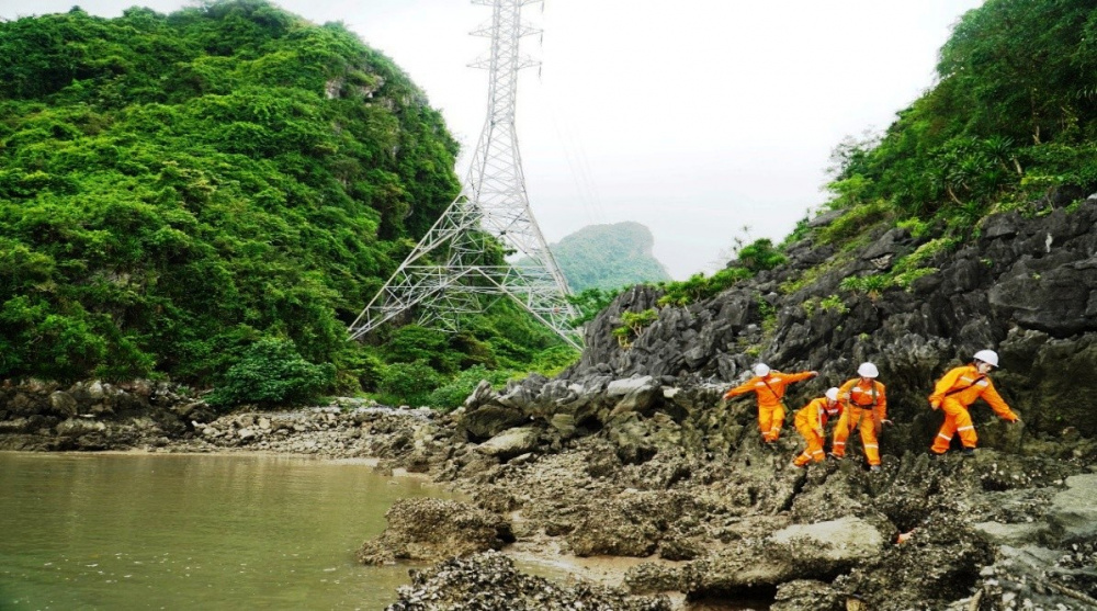 Công ty điện lực quảng ninh