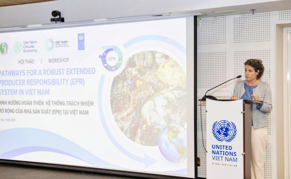 đại diện UNDP chia sẻ về thực hiện EPR