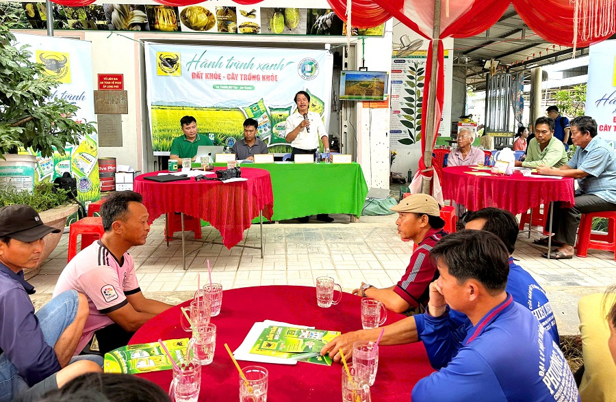 Nâng pH đất phèn-chìa khóa hạ giá thành lúa hè thu ở Tứ giác Long Xuyên