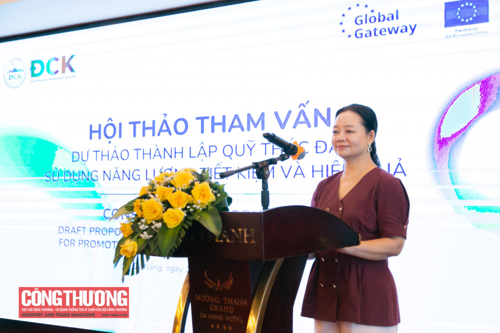 việc thiết kế và xây dựng Quỹ Thúc đẩy sử dụng năng lượng tiết kiệm và hiệu quả có ý nghĩa hết sức quan trọng