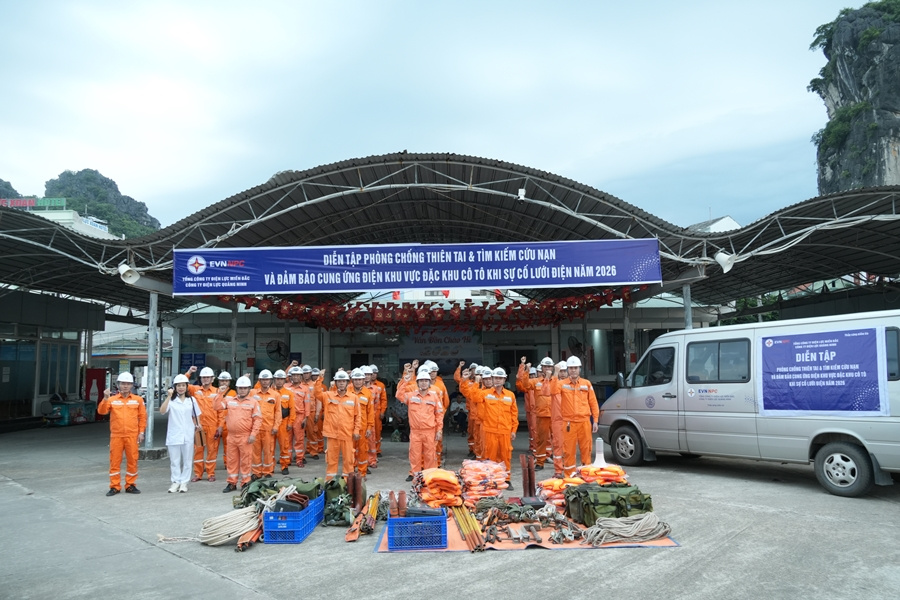 Công ty Điện lực Quảng Ninh