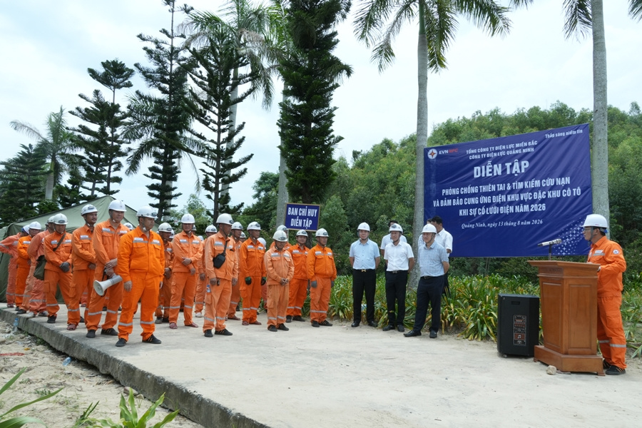 Công ty Điện lực Quảng Ninh