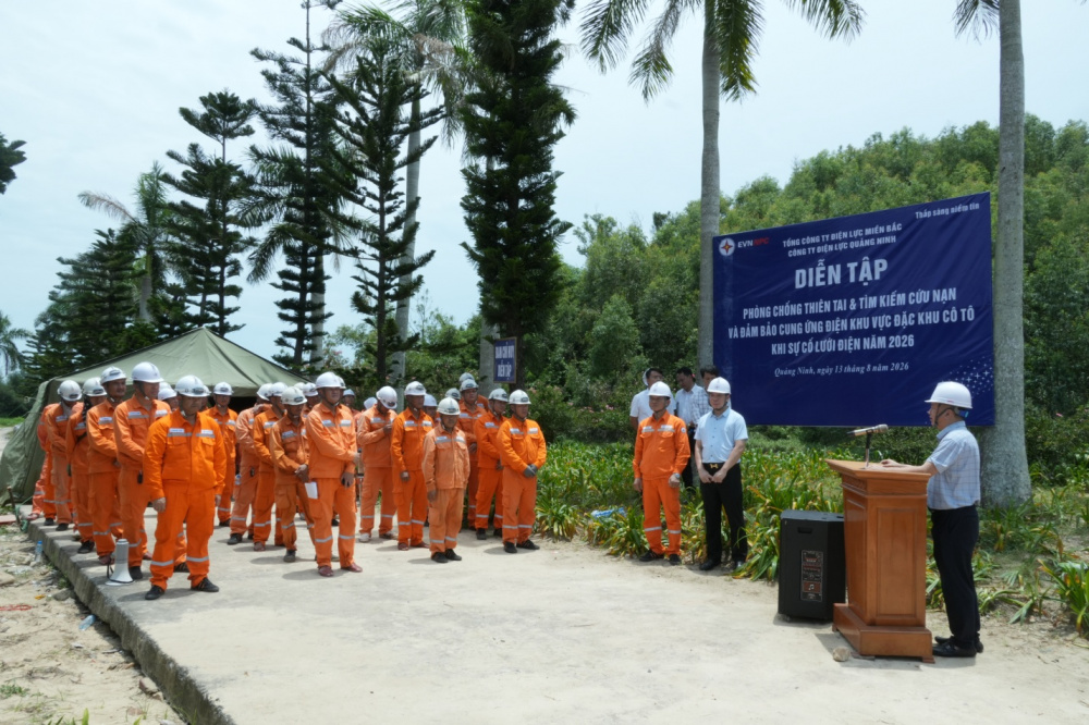 Công ty Điện lực Quảng Ninh