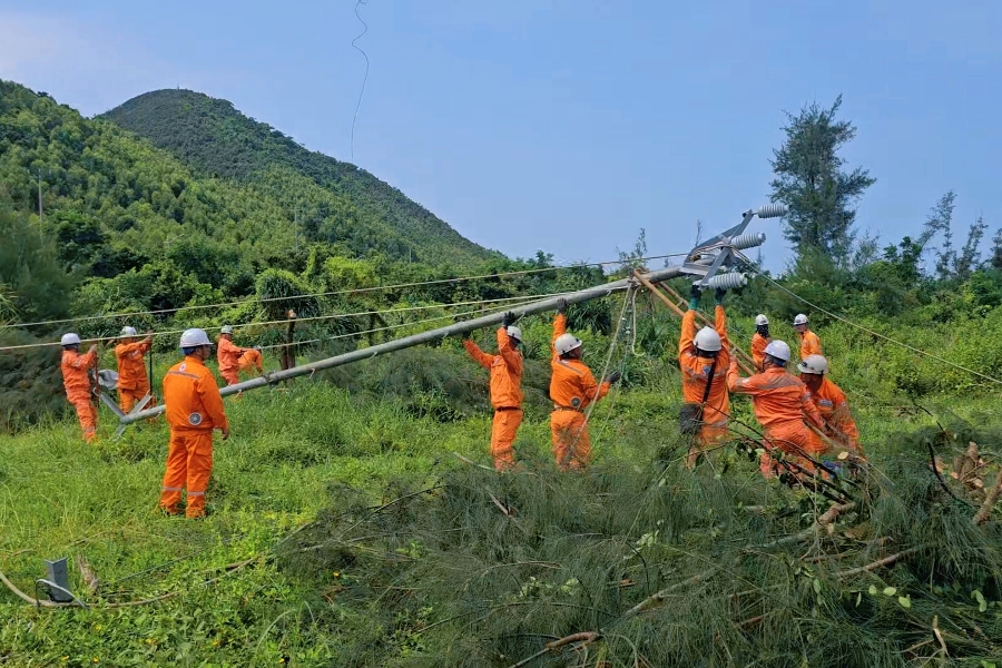Điện lực Quảng Ninh