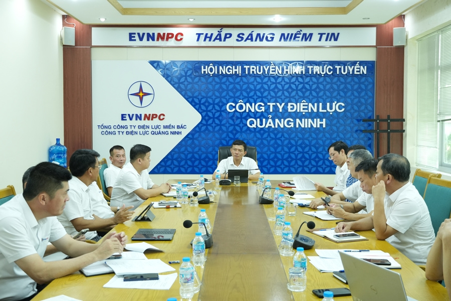Điện lực Quảng Ninh