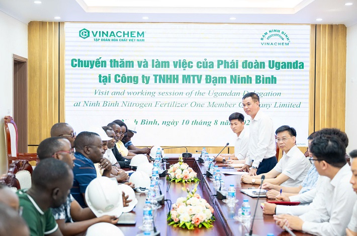 hợp tác 1
