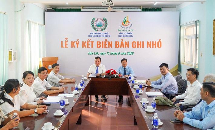 phân bón miền nam 1