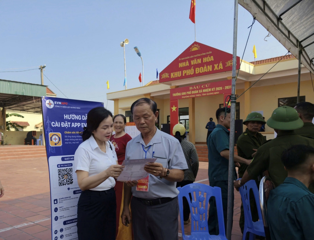 Công ty Điện lực Quảng Ninh
