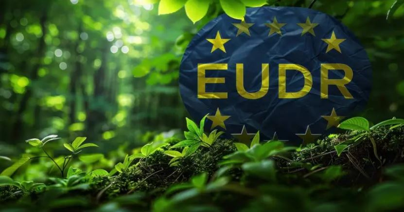 quy định chuỗi cung ứng EUDR