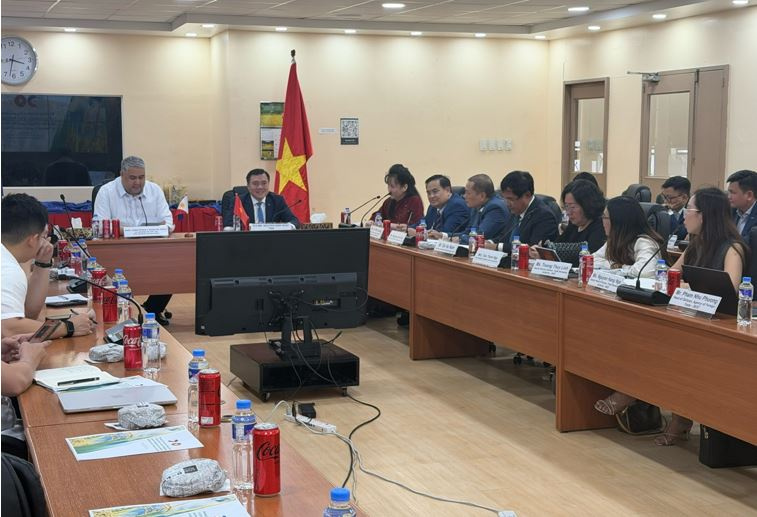 thương mại gạo