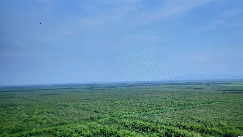 Lâm Nghiệp Kiên Giang