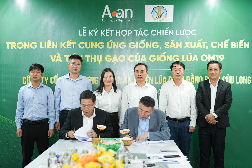Gạo A An
