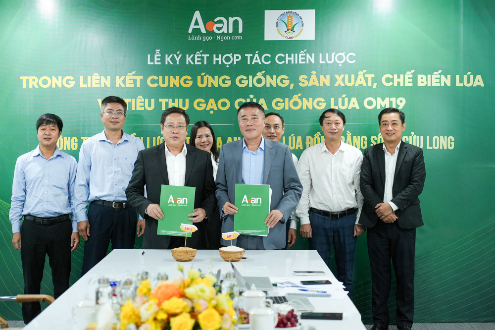 Gạo A An
