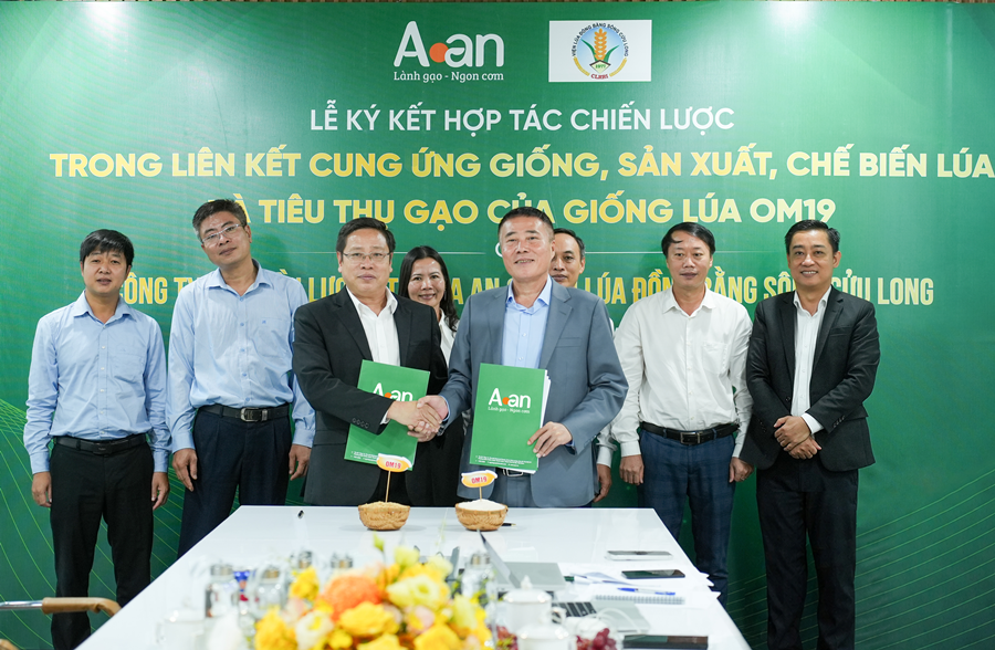 Gạo A An