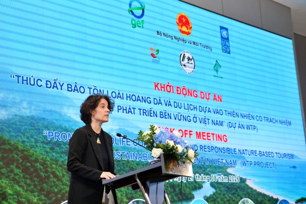 đại diện UNDP phát biểu