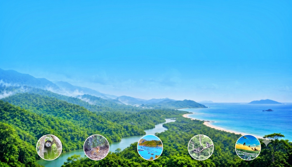 bảo tồn đa dạng sinh học
