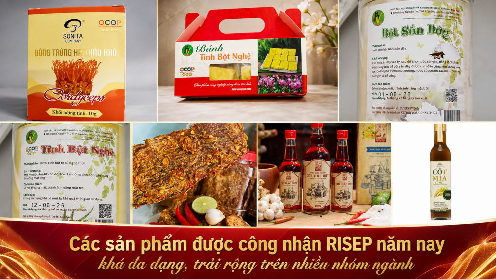 Bình chọn RISEP