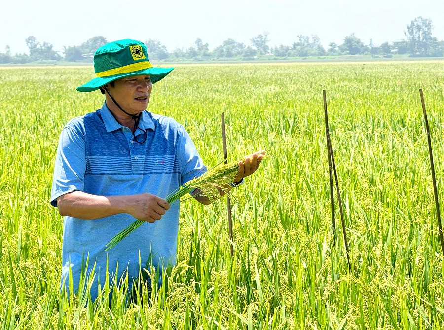 Đất khỏe, cây khỏe, người nông dân thêm niềm tin