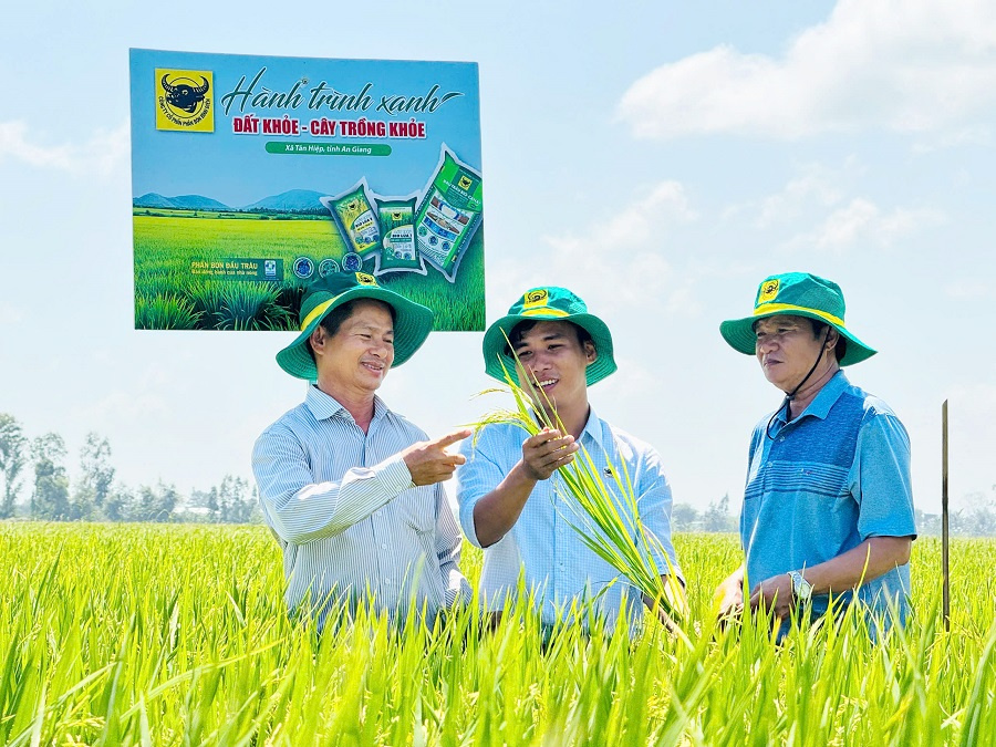Đất khỏe, cây khỏe, người nông dân thêm niềm tin